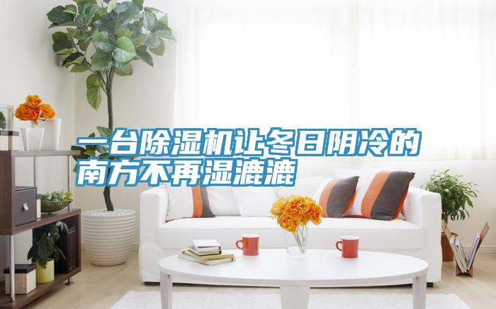 一臺除濕機(jī)讓冬日陰冷的南方不再濕漉漉