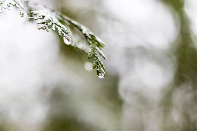 空氣濕度大帶來的危害有哪些，你知道嗎？