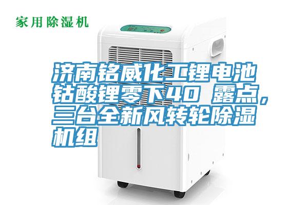 濟南銘威化工鋰電池鈷酸鋰零下40℃露點，三臺全新風轉輪除濕機組