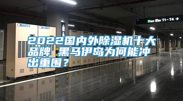 2022國內(nèi)外除濕機(jī)十大品牌 黑馬伊島為何能沖出重圍？