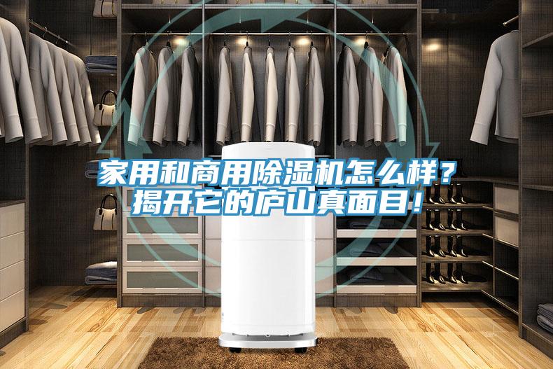 家用和商用除濕機(jī)怎么樣？揭開(kāi)它的廬山真面目！