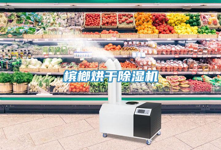 檳榔烘干除濕機