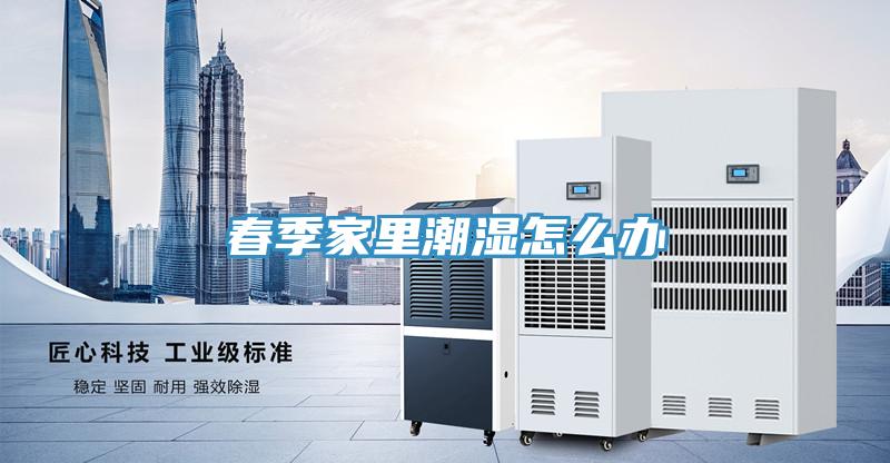 春季家里潮濕怎么辦