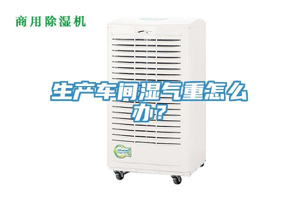 生產車間濕氣重怎么辦？