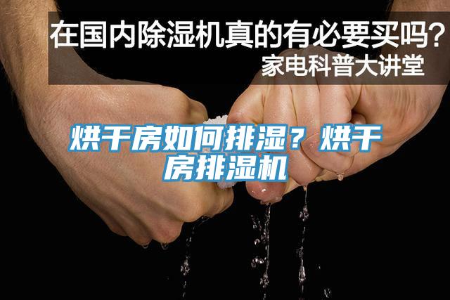 烘干房如何排濕？烘干房排濕機