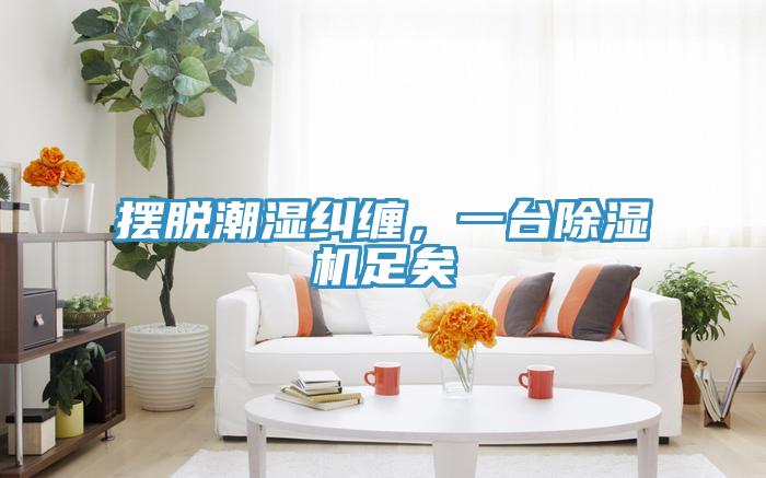 擺脫潮濕糾纏，一臺除濕機足矣