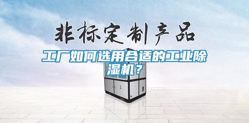 工廠如何選用合適的工業除濕機？
