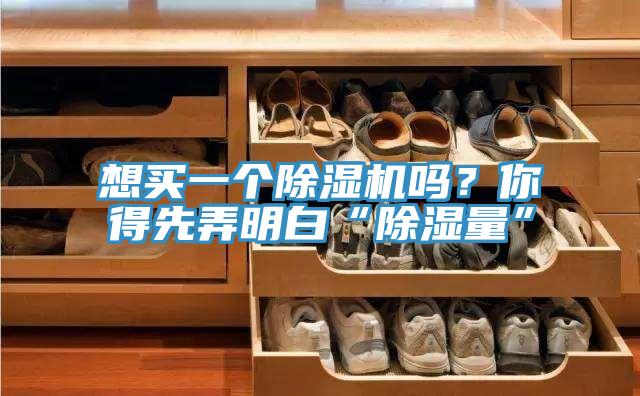 想買一個除濕機嗎？你得先弄明白“除濕量”