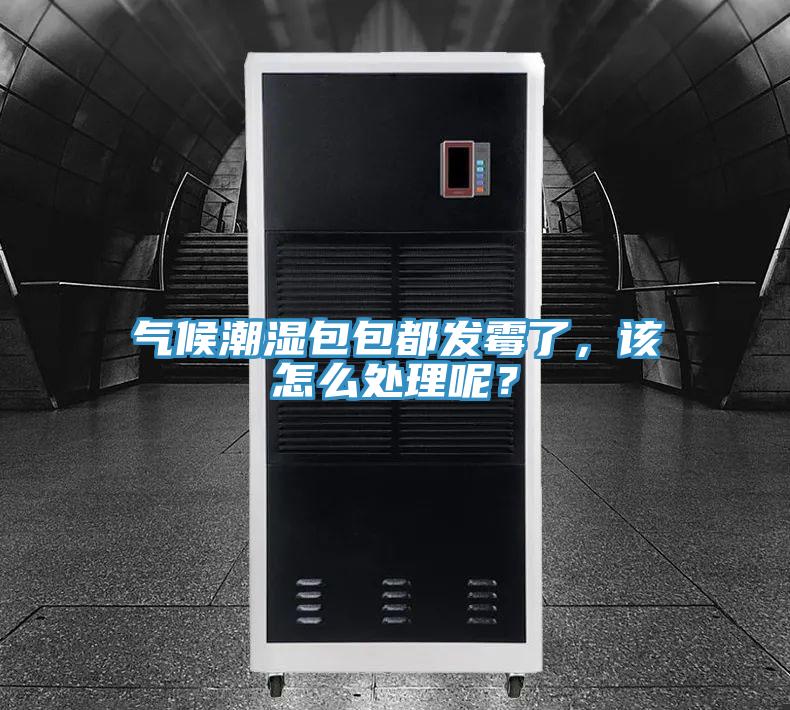 氣候潮濕包包都發霉了，該怎么處理呢？