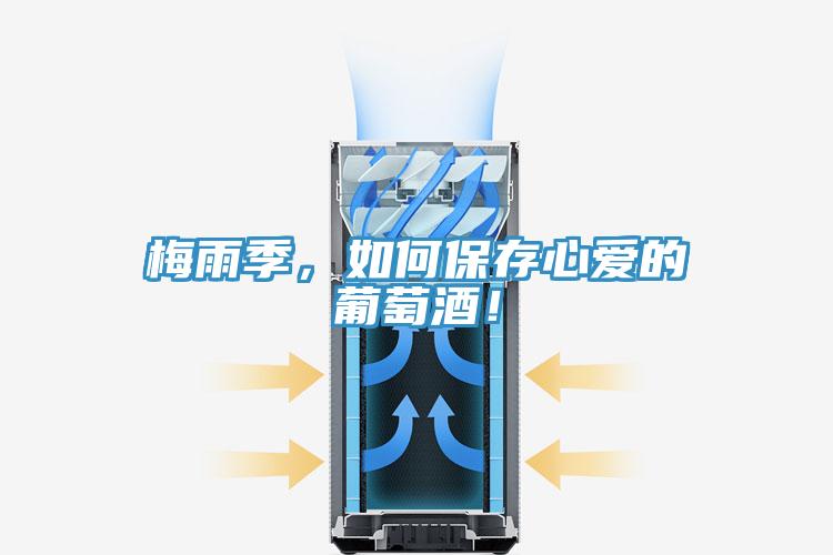 梅雨季，如何保存心愛的葡萄酒！