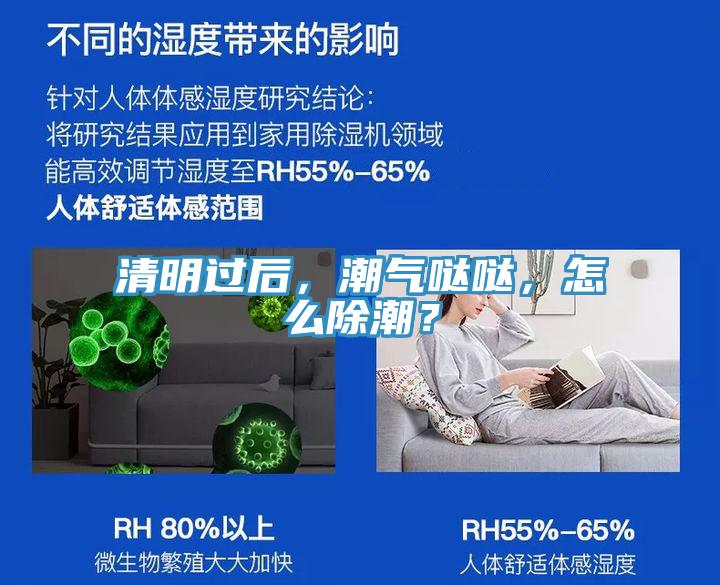 清明過后，潮氣噠噠，怎么除潮？