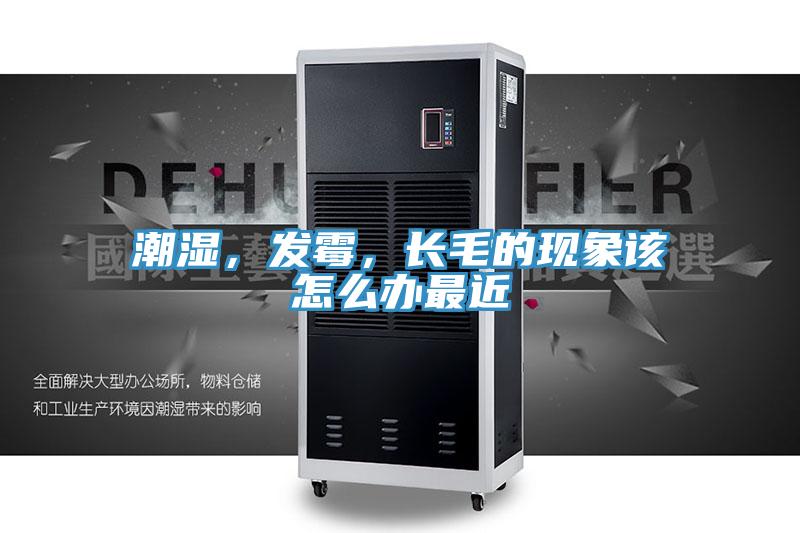 潮濕，發霉，長毛的現象該怎么辦最近