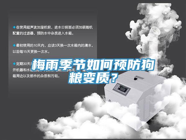 梅雨季節(jié)如何預(yù)防狗糧變質(zhì)？