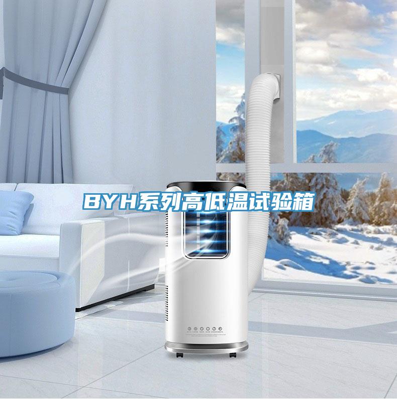 BYH系列高低溫試驗箱