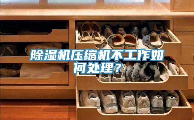 除濕機壓縮機不工作如何處理？