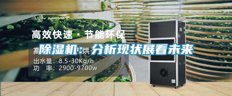 除濕機：分析現狀展看未來