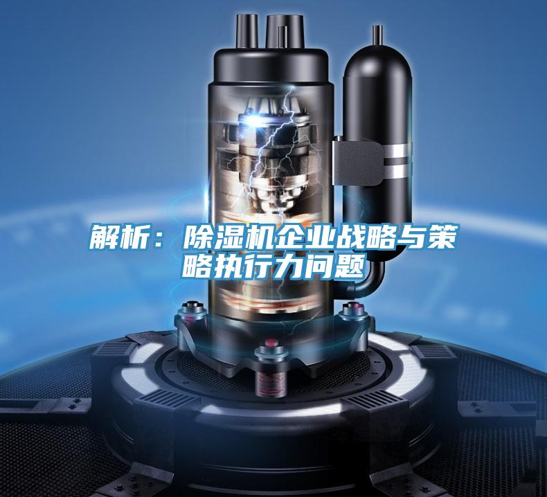 解析：除濕機(jī)企業(yè)戰(zhàn)略與策略執(zhí)行力問題