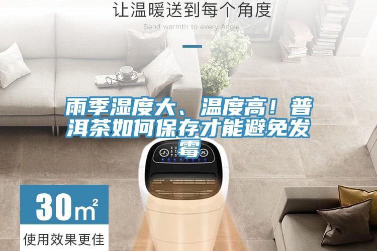 雨季濕度大、溫度高！普洱茶如何保存才能避免發霉