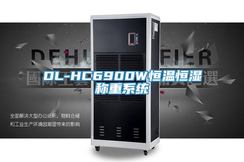 DL-HC6900W恒溫恒濕稱重系統