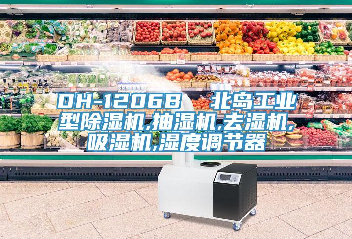 DH-1206B  北島工業(yè)型除濕機(jī),抽濕機(jī),去濕機(jī),吸濕機(jī),濕度調(diào)節(jié)器
