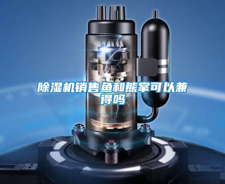 除濕機(jī)銷售魚和熊掌可以兼得嗎