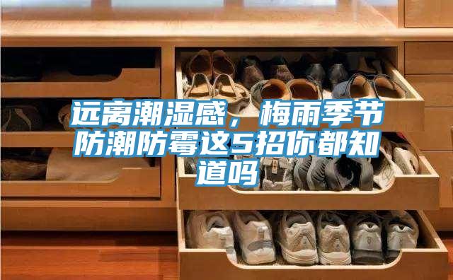 遠離潮濕感，梅雨季節防潮防霉這5招你都知道嗎