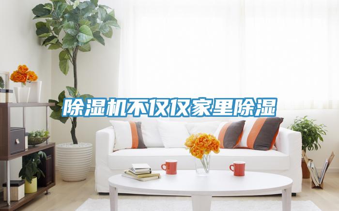 除濕機不僅僅家里除濕