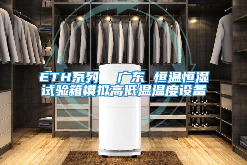ETH系列  廣東 恒溫恒濕試驗箱模擬高低溫溫度設備