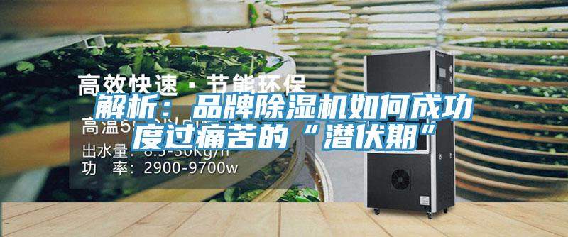 解析：品牌除濕機如何成功度過痛苦的“潛伏期”