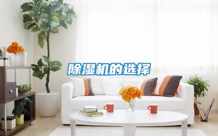 除濕機的選擇