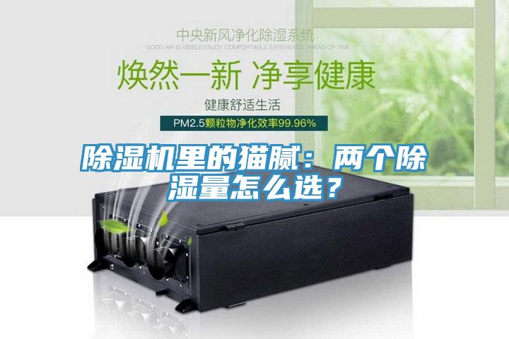 除濕機(jī)里的貓膩：兩個(gè)除濕量怎么選？