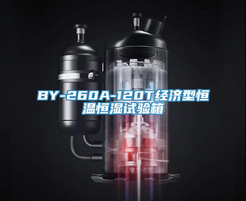 BY-260A-120T經濟型恒溫恒濕試驗箱