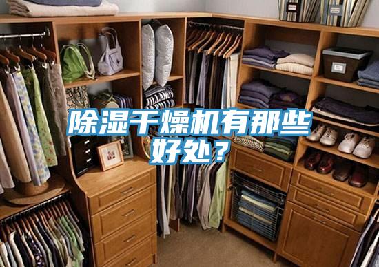 除濕干燥機有那些好處？