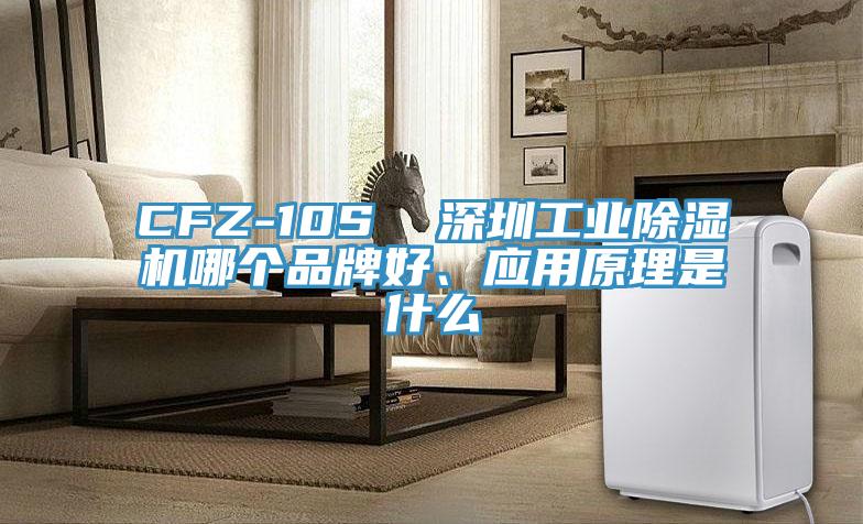 CFZ-10S  深圳工業(yè)除濕機(jī)哪個(gè)品牌好、應(yīng)用原理是什么