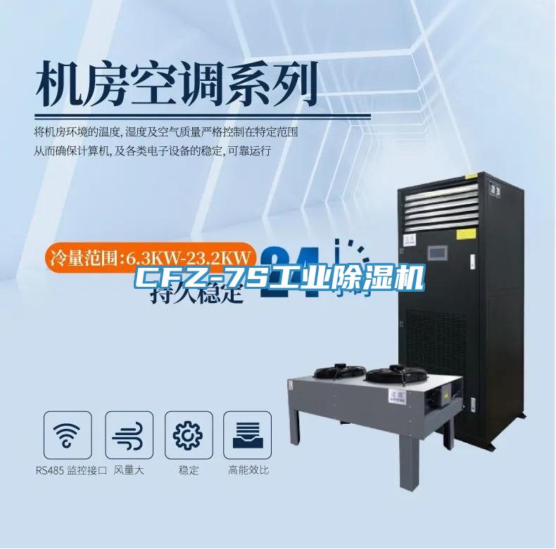 CFZ-7S工業(yè)除濕機(jī)