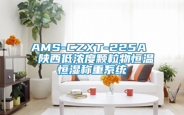 AMS-CZXT-225A  陜西低濃度顆粒物恒溫恒濕稱重系統