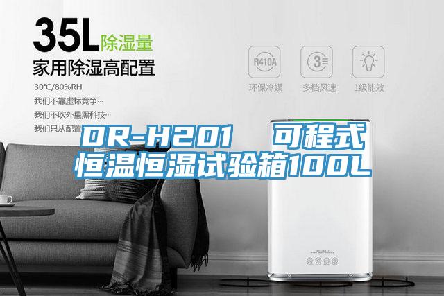 DR-H201  可程式恒溫恒濕試驗箱100L
