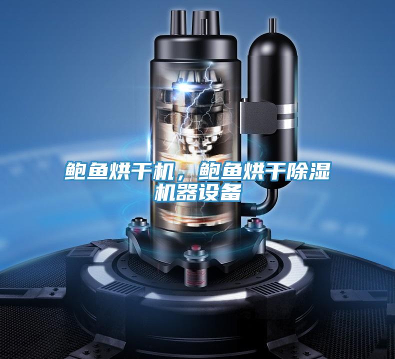 鮑魚(yú)烘干機(jī)，鮑魚(yú)烘干除濕機(jī)器設(shè)備