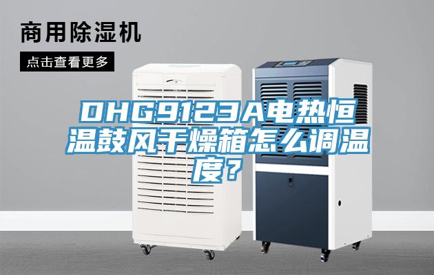 DHG9123A電熱恒溫鼓風干燥箱怎么調溫度？