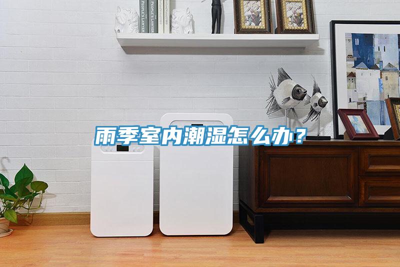 雨季室內(nèi)潮濕怎么辦?