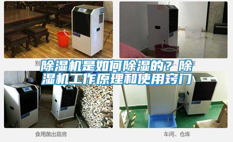 除濕機是如何除濕的？除濕機工作原理和使用竅門