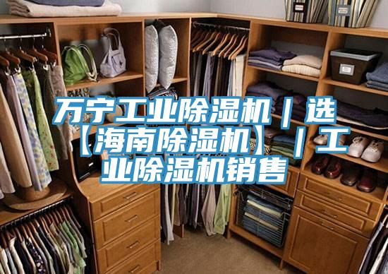 萬寧工業除濕機｜選【海南除濕機】｜工業除濕機銷售