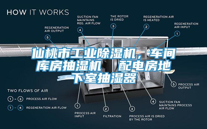 仙桃市工業(yè)除濕機(jī)，車間庫房抽濕機(jī)  配電房地下室抽濕器