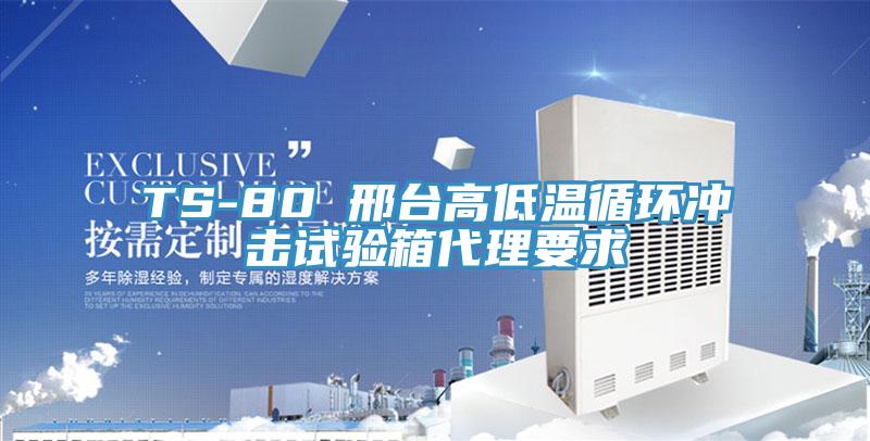 TS-80 邢臺高低溫循環(huán)沖擊試驗箱代理要求