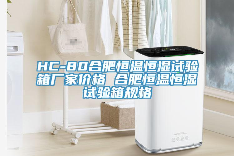 HC-80合肥恒溫恒濕試驗箱廠家價格 合肥恒溫恒濕試驗箱規格
