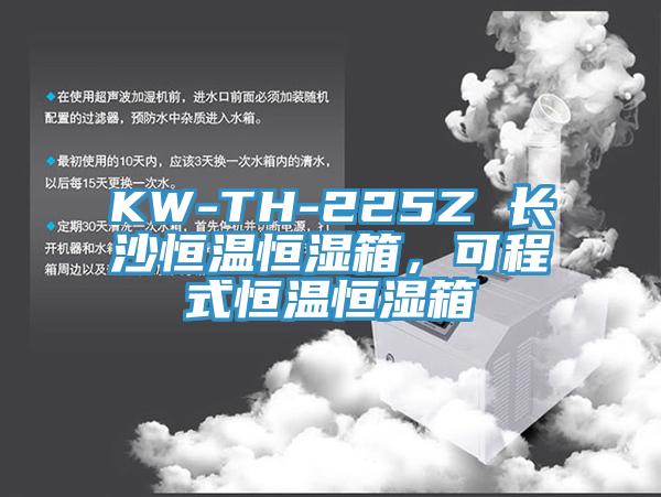 KW-TH-225Z 長沙恒溫恒濕箱，可程式恒溫恒濕箱