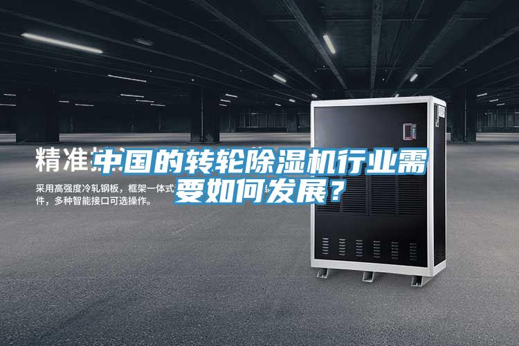 中國的轉輪除濕機行業需要如何發展？