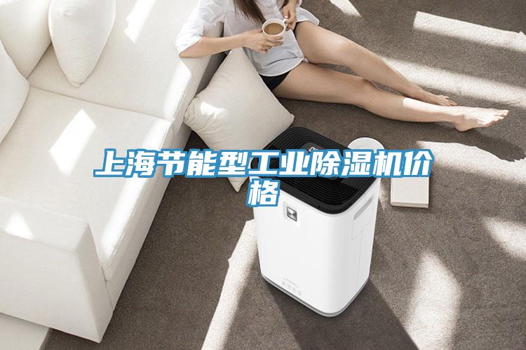上海節能型工業除濕機價格