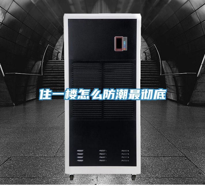 住一樓怎么防潮最徹底