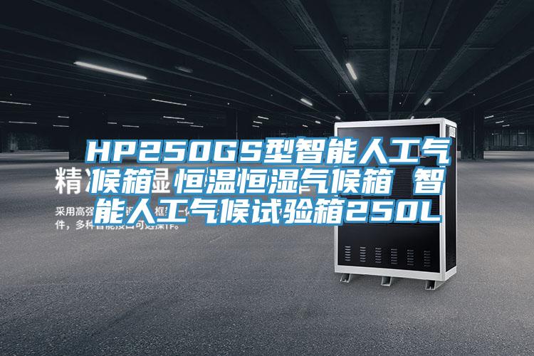 HP250GS型智能人工氣候箱 恒溫恒濕氣候箱 智能人工氣候試驗(yàn)箱250L